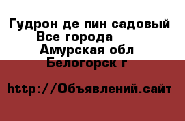 Гудрон де пин садовый - Все города  »    . Амурская обл.,Белогорск г.